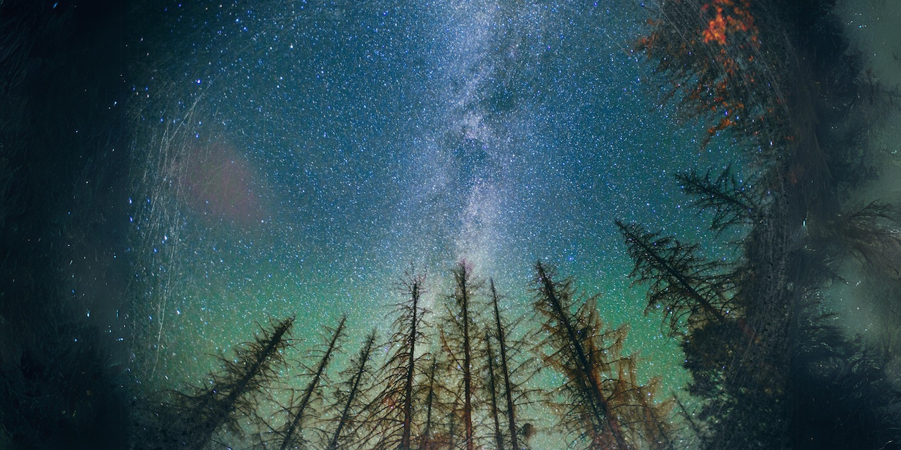 星の降る森 カカオの神話 マヤ文明 自然